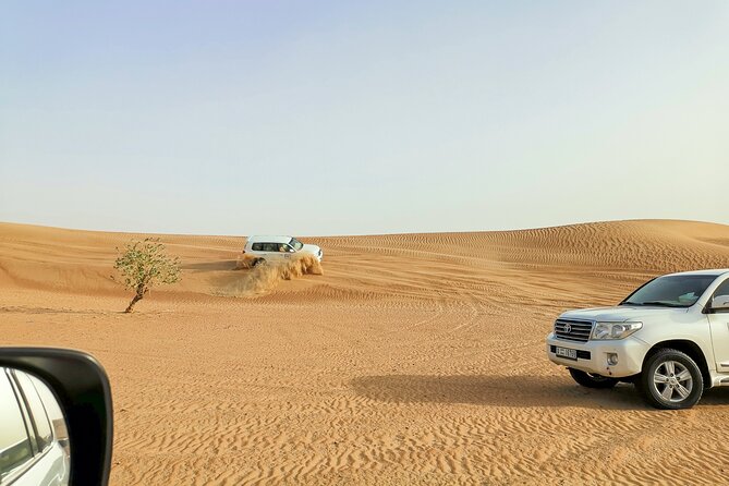 Doha Quad Bike, Dune Bashing, Camel Ride and Island Sea Tour - Four hours, private transport, and what the price covers