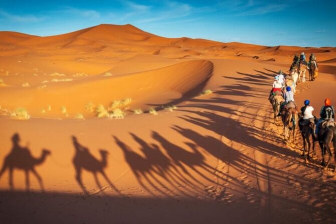 Doha Quad Bike, Dune Bashing, Camel Ride and Island Sea Tour - The guides can shape the whole experience