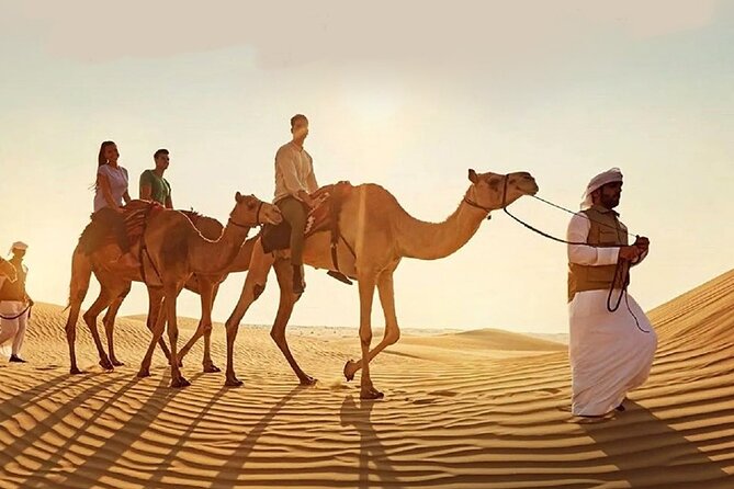 Doha Quad Bike, Dune Bashing, Camel Ride and Island Sea Tour - Quad biking on the approved desert track