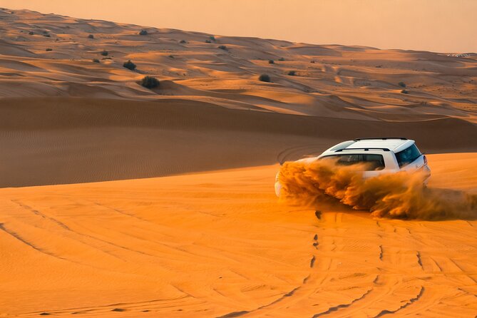 Doha: Quadbike, Dune Bashing, Camel Ride, Inland Sea Visit - A camel ride with a slower view of Qatar