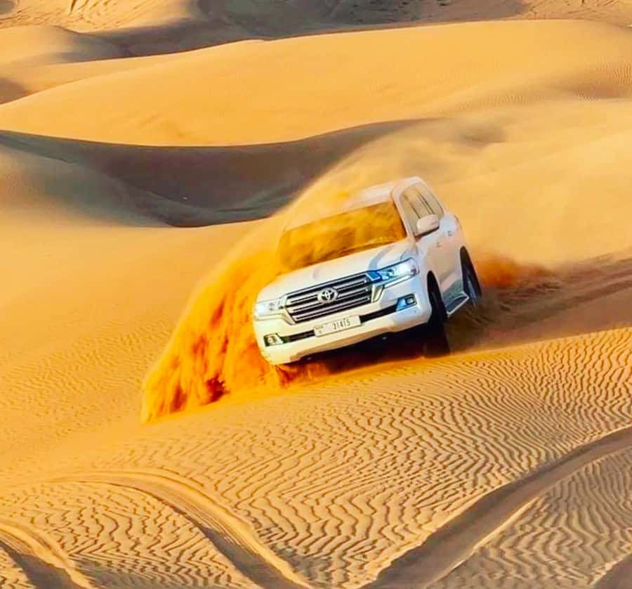 Doha: Relax Desert Safari, Camel Ride, Inland Sea, Swimming - How much time do you really get?