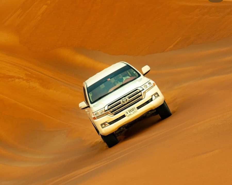 Doha: Relax Desert Safari, Camel Ride, Inland Sea, Swimming - Who should book this safari?