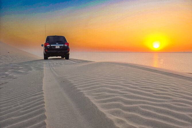 Doha Safari Adventures, Dune Bashing, Sand Buggy, Camel Ride Tour - Camel riding, with an added charge