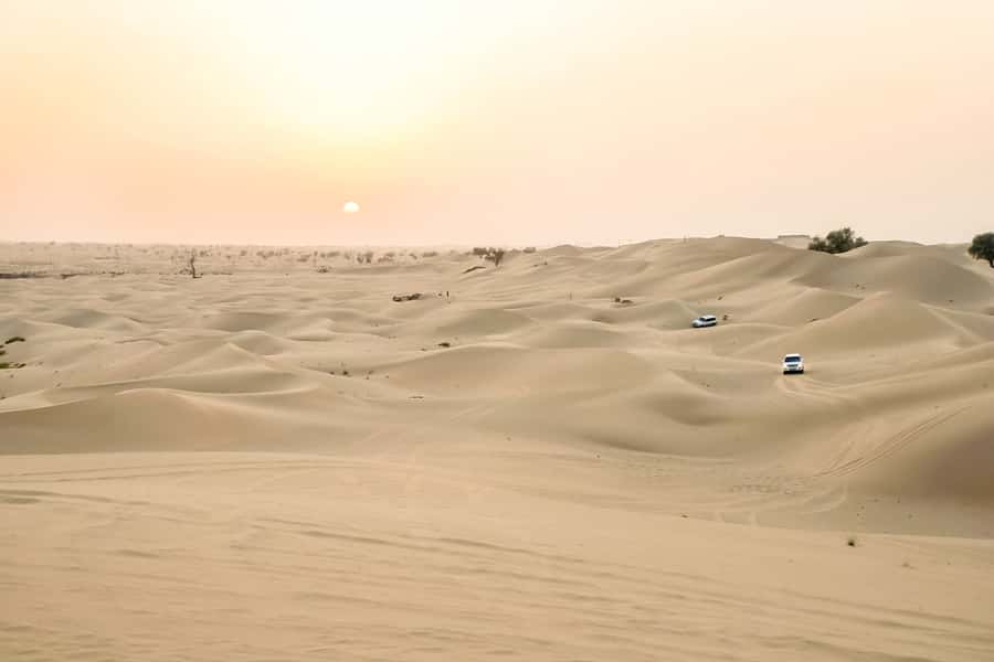 Doha: Safari, ATV, Camels, Sandboarding and Inland Sea Tour - Sandboarding down the golden dunes