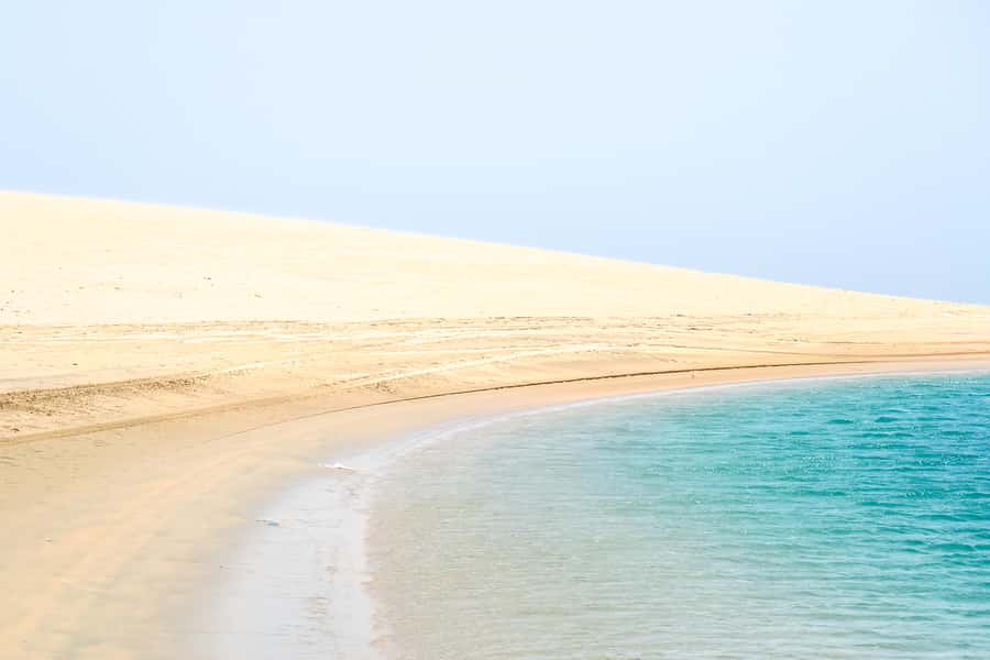 Doha: Safari, ATV, Camels, Sandboarding and Inland Sea Tour - Tea, water, photographs, and the guide’s role