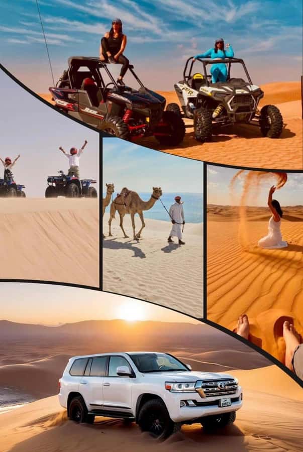 Doha: Safari, Camel Ride, Sand boarding and Inland Sea Tour - Is the $24 price good value?