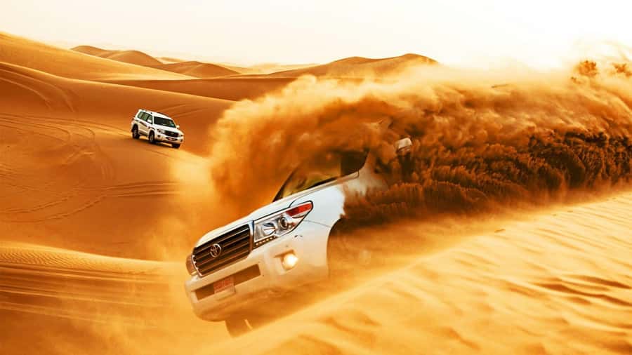 Doha: Safari, Camel Ride, Sandboarding and Inland Sea Tour - The Inland Sea, where sand meets water