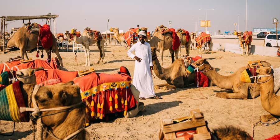 Doha: Safari, Camel Ride, Sandboarding and Inland Sea Tour - Practical advice before you leave Doha