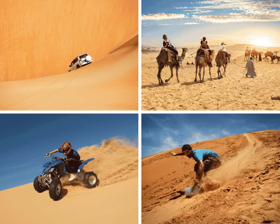 Doha: Safari, Camel Ride, Sandboarding and Inland Sea Tour - Guides who shape the experience