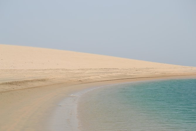 Doha: Safari, Dune bashing, Camel Ride, Sandboarding & Inland Sea - What $65.70 really buys you