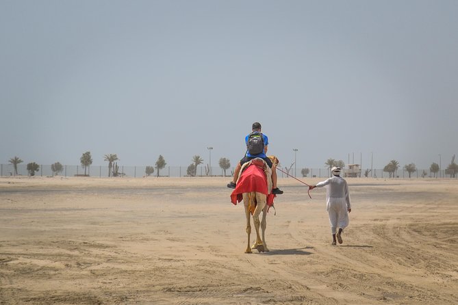 Doha: Safari, Dune bashing, Camel Ride, Sandboarding & Inland Sea - Morning or afternoon: choose your priority