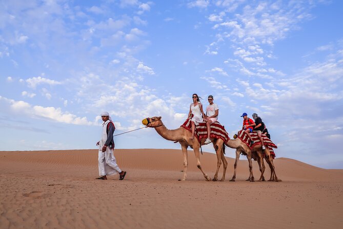 Doha: Safari, Dune bashing, Camel Ride, Sandboarding & Inland Sea - The camel stop: traditional feel, limited riding time