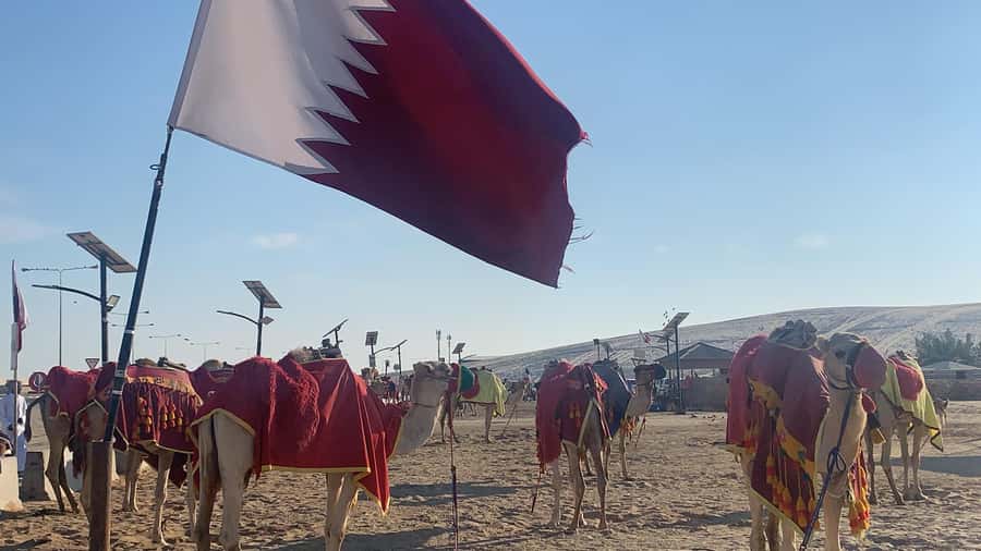 Doha: Safari | Inland Sea Tour | Camel Ride | Sandboarding - Key points to know before booking