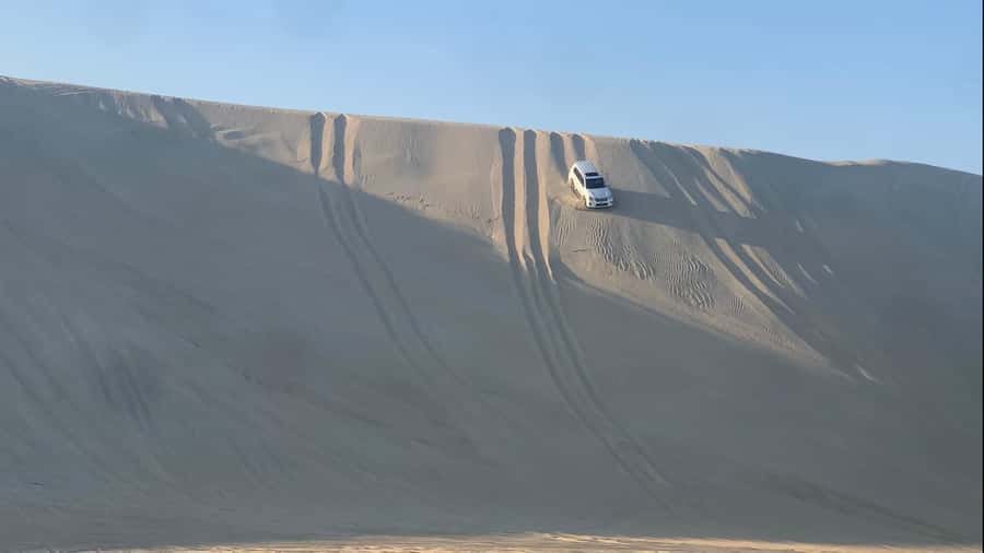 Doha: Safari | Inland Sea Tour | Camel Ride | Sandboarding - From Doha to Sealine Beach in one hour