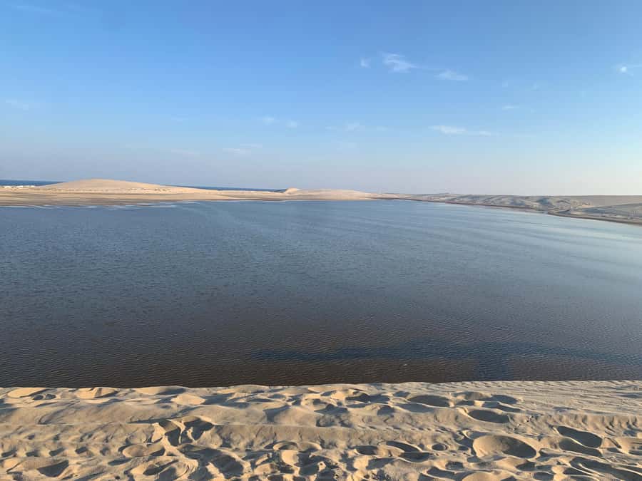 Doha: Safari | Inland Sea Tour | Camel Ride | Sandboarding - Forty minutes of dune bashing