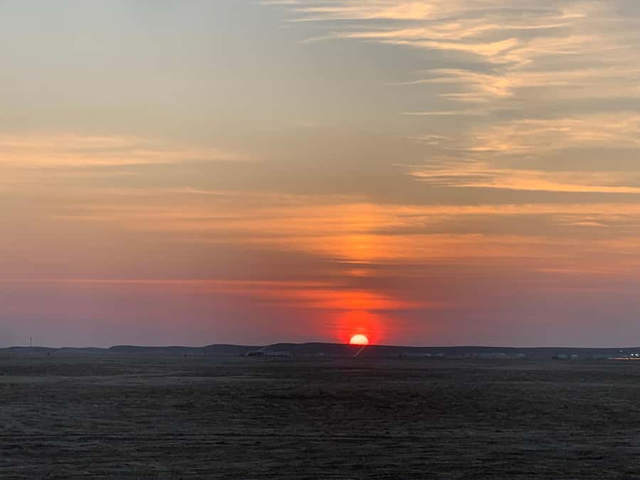 Doha: Safari | Inland Sea Tour | Camel Ride | Sandboarding - Sandboarding for a quick burst of fun