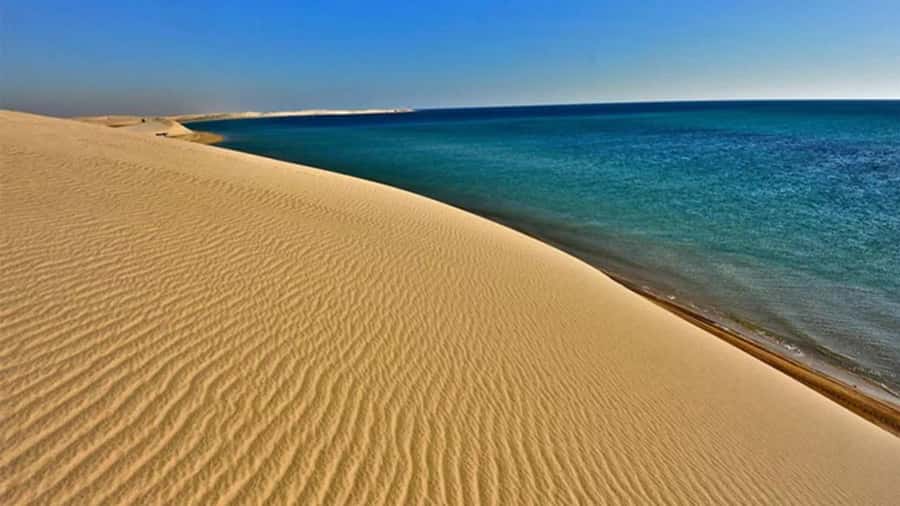 Doha Safari Quadbike, CamelRide, Sandboarding & Inland Sea - Quad biking on a dedicated track