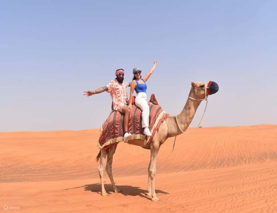Doha Safari Quadbike, CamelRide, Sandboarding & Inland Sea - Guides, language, and pace
