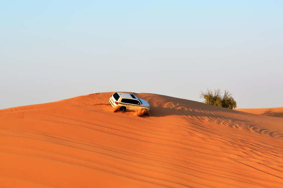 Doha:Safari Tour with Lunch/Dinner in Desert by the Sea Side - What $265 buys you