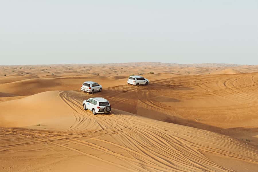 Doha:Safari Tour with Lunch/Dinner in Desert by the Sea Side - Practical advice before you go