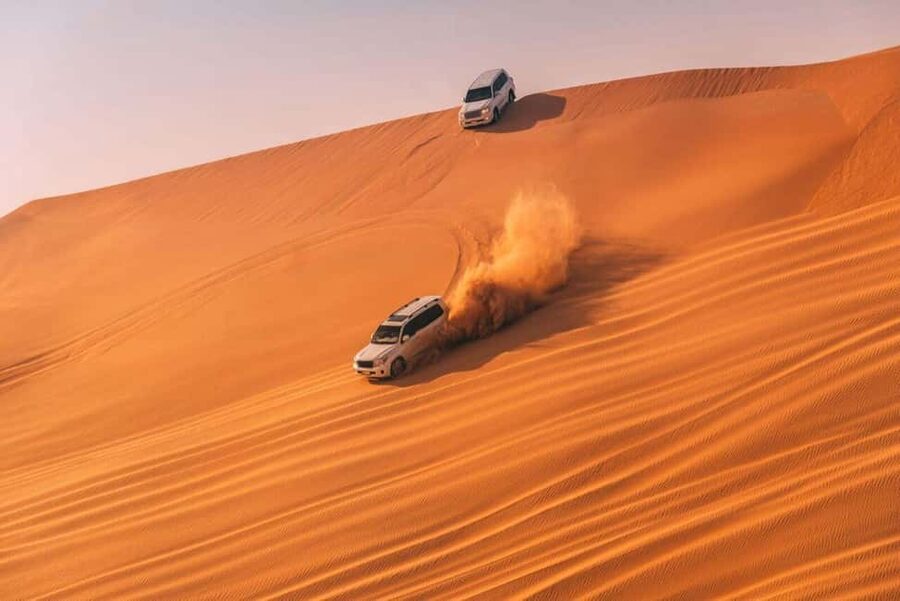 Doha Safari with Camel Ride, Inland Sea & Hotel Transfer - Key points at a glance
