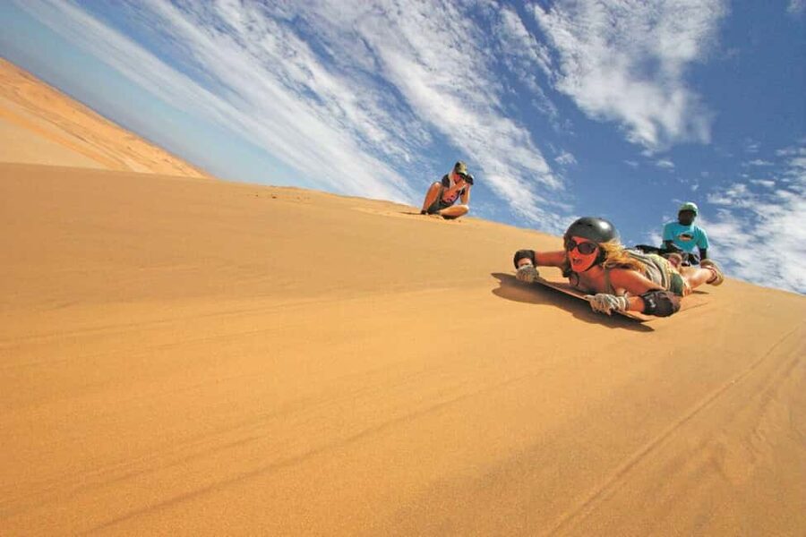 Doha Safari with Camel Ride, Inland Sea & Hotel Transfer - Why the driver makes or breaks this safari