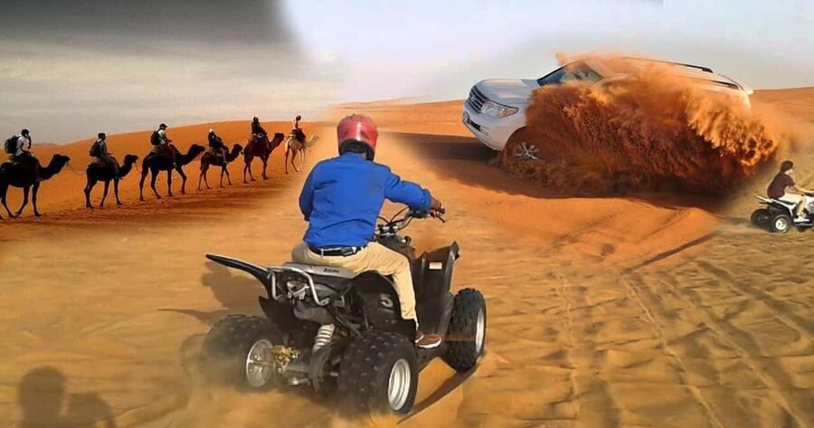 Doha Safari with Camel Ride, Inland Sea & Hotel Transfer - Who will enjoy this four-hour format