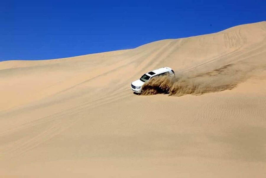 Doha Safari with Camel Ride, Inland Sea & Hotel Transfer - Practical tips for getting more from the outing