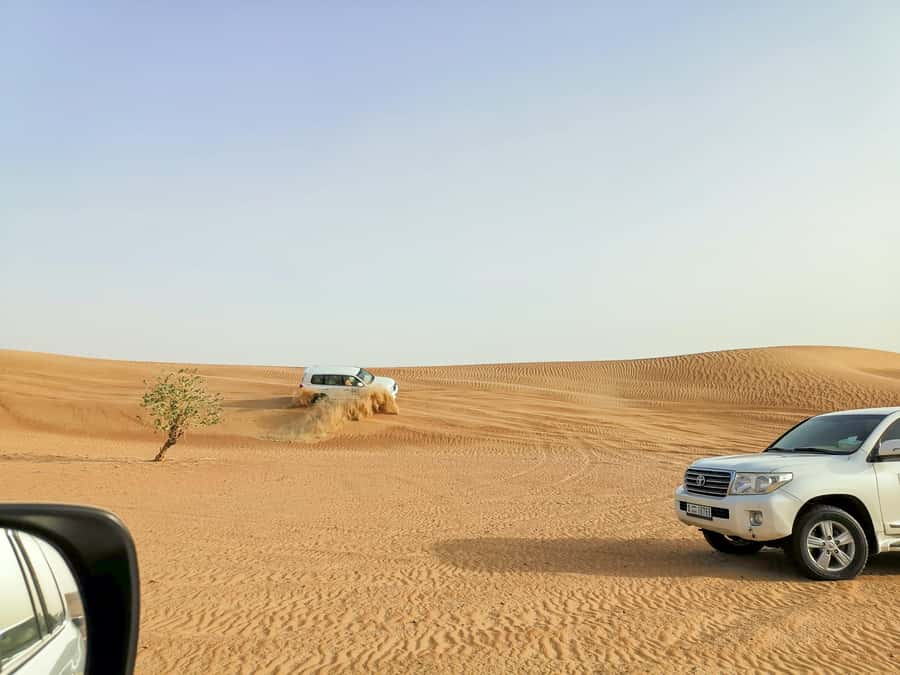 Doha: Shared Desert Safari, Sandboarding, Camel Ride - Key points at a glance