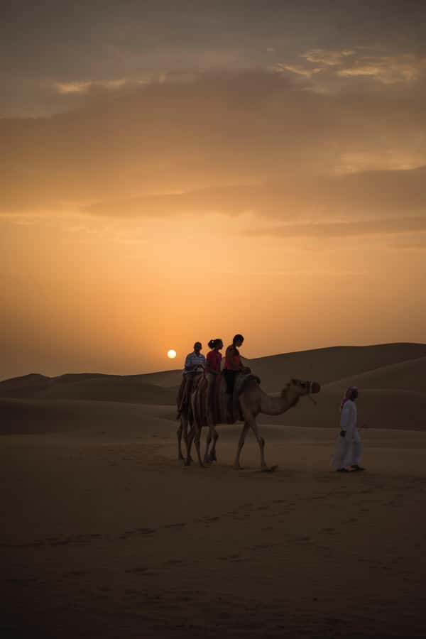 Doha: Shared Desert Safari, Sandboarding, Camel Ride - Who should book this safari?