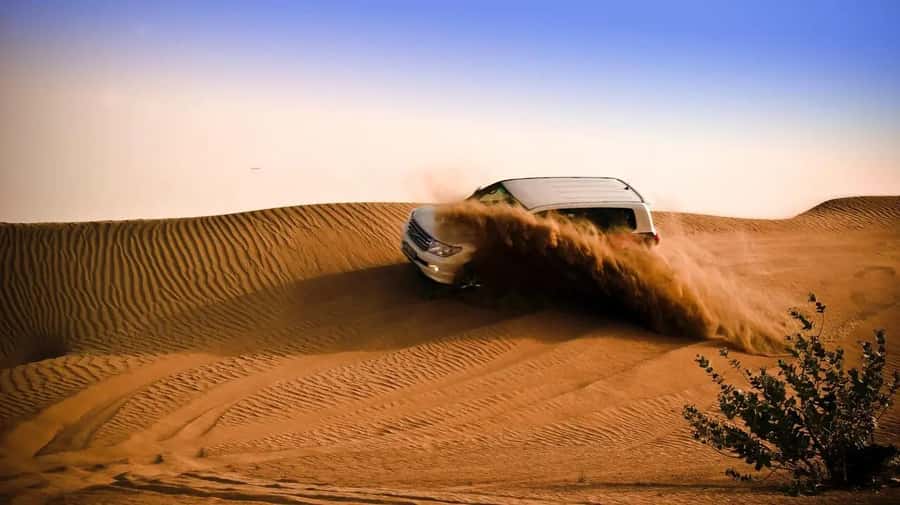 Doha: Shared Desert Safari, Sandboarding, Camel Ride - Sandboarding on Qatar’s high dunes