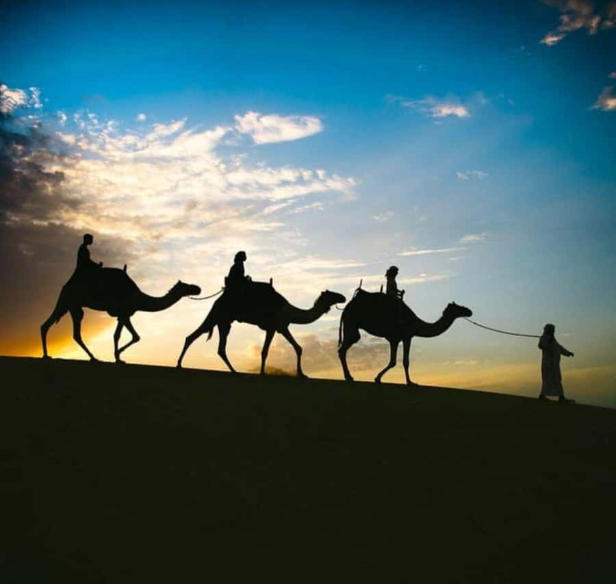 Doha: Stargazing Desert Safari w/ Dune Bashing & Camel Ride - Key points at a glance