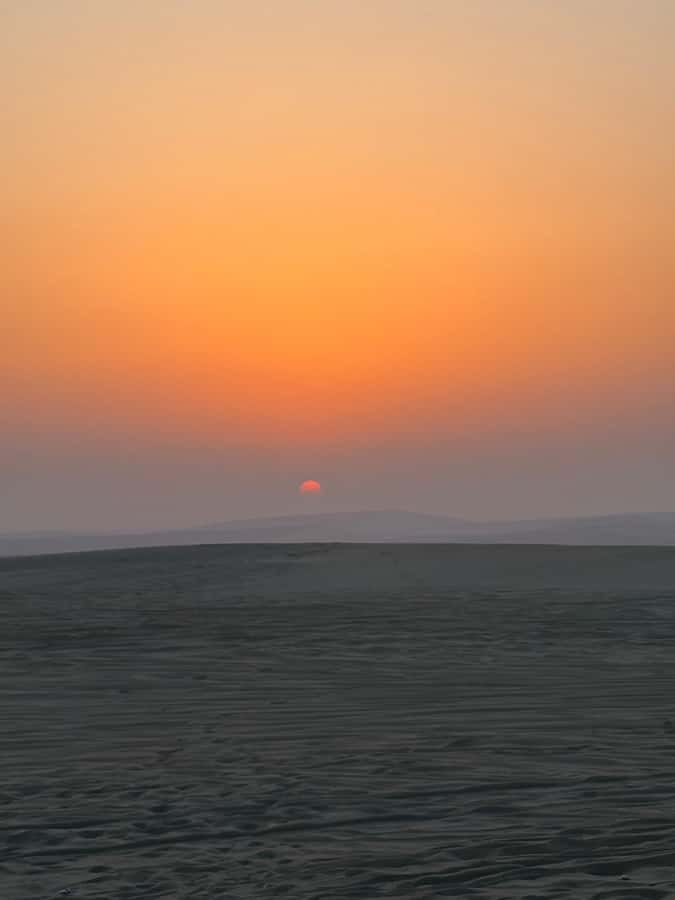 Doha: Stargazing Desert Safari w/ Dune Bashing & Camel Ride - Khor Al Udaid brings the coastal desert into view