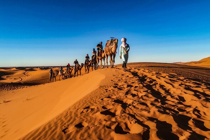 Doha Sunrise Desert Safari Tour| Dune Bashing| Inland Sea visit| Camel Riding - Sunrise photographs, quiet sand, and a short schedule