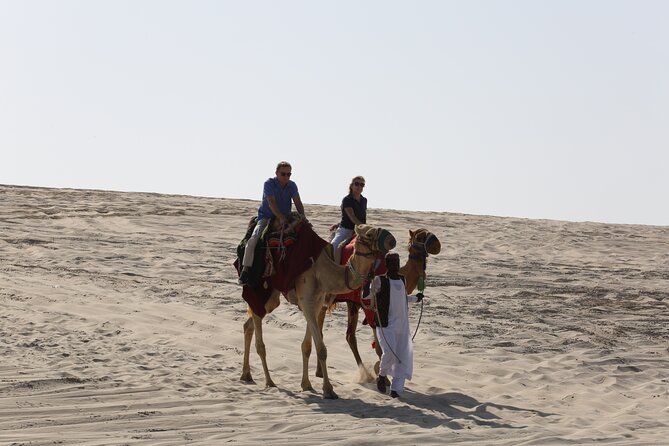 Doha; Sunrise Desert Tour and camel safari 4hrs - What the price of $75 means