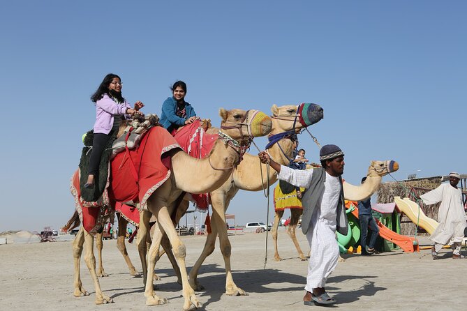 Doha; Sunrise Desert Tour and camel safari 4hrs - The human side of the experience