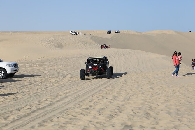 Doha; Sunrise Desert Tour and camel safari 4hrs - The drive from Doha to Sealine