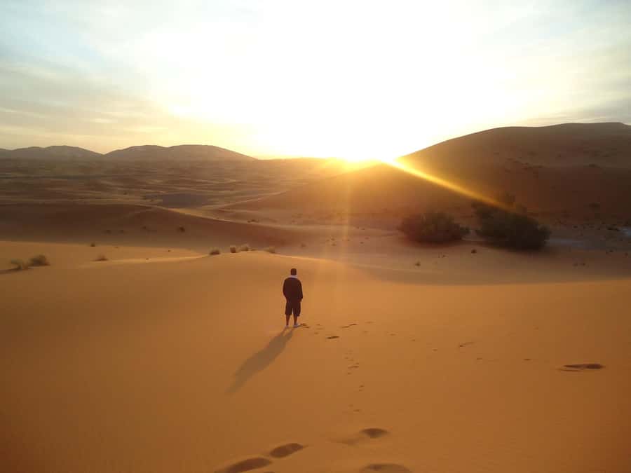 Doha:Sunrise or Sunset Desert Safari Tour with Sand Boarding - From Doha to open desert in four hours