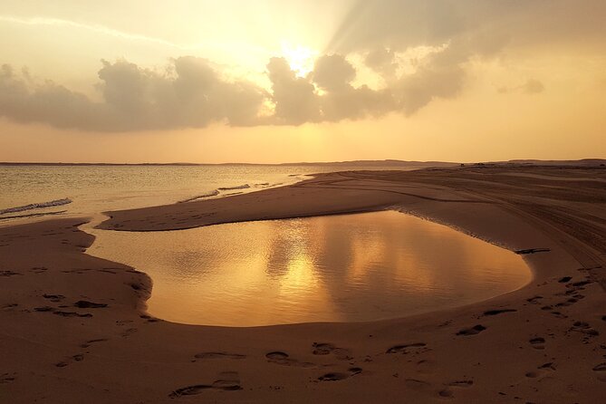 Doha: Sunrise /Sunset Desert Safari with Sand Boarding,Camel ride - Sealine Beach: camel ride and local tea