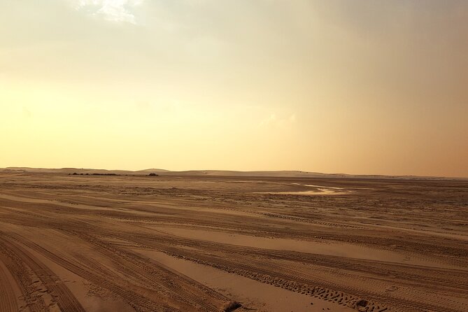 Doha: Sunrise /Sunset Desert Safari with Sand Boarding,Camel ride - Who will enjoy this three-to-four-hour outing