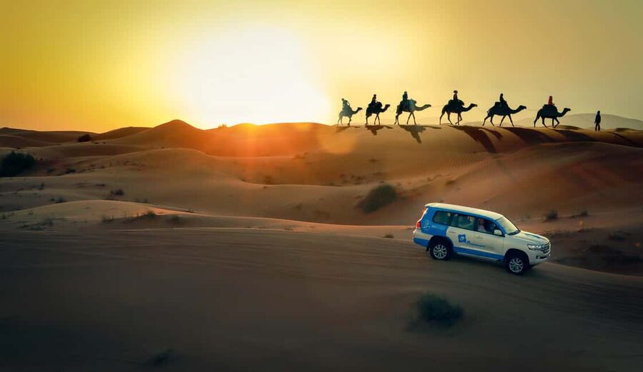 Doha: Sunset Desert Safari, ATV, Camel Ride and Sandboarding - Key points at a glance