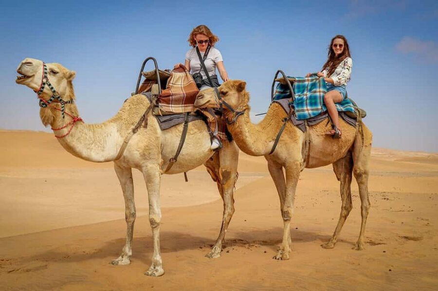 Doha: Sunset Desert Safari, ATV, Camel Ride and Sandboarding - Why the guide matters so much