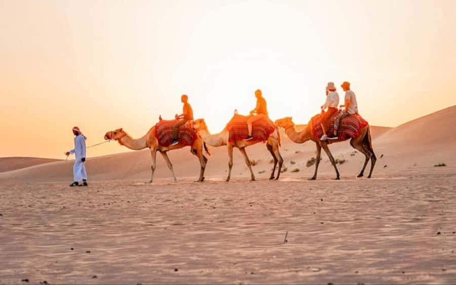 Doha: Sunset Desert Safari with Camel Ride & Sandboarding - Sandboarding down Qatar’s dunes