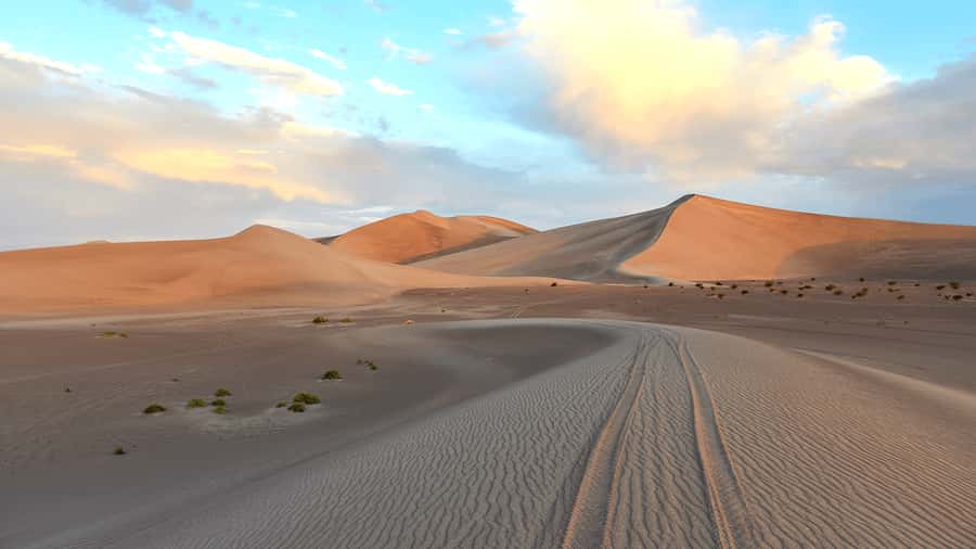 Doha: Sunset Safari, Dune Bashing, Sandboarding & Camel Ride - Sandboarding without an extra fee