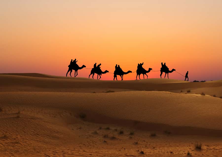 Doha: Sunset Safari, Dune Bashing, Sandboarding & Camel Ride - Practical details that can save you trouble