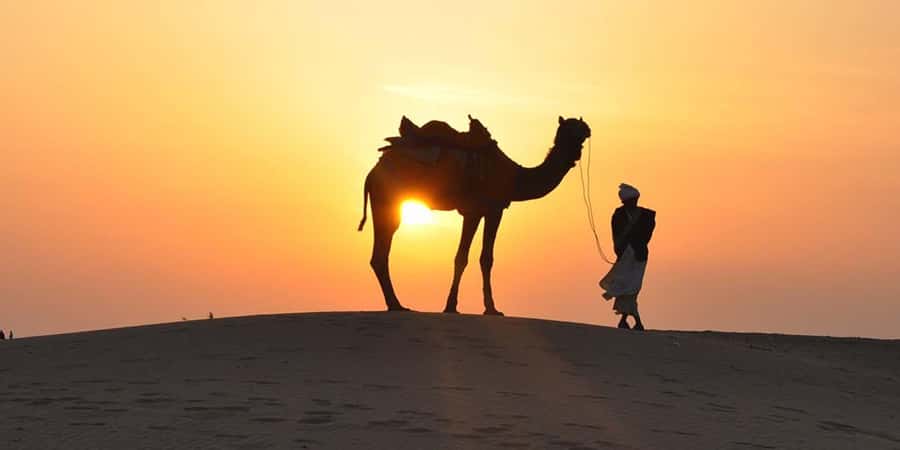 Doha: Thrilling 4x4 Desert Safari, Inland Sea-All Activities - Choosing your guide and group style