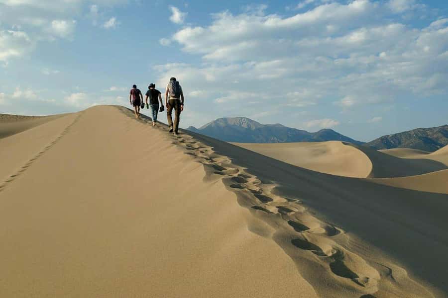 Doha: Thrilling 4x4 Desert Safari, Inland Sea-All Activities - A short camel stop with cultural context