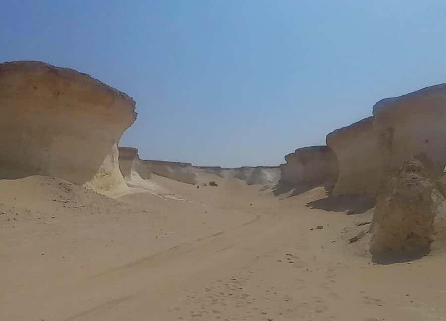 Doha: West Coast Qatar Tour, Sculptures, Camel Racing track - What the four-hour schedule really means