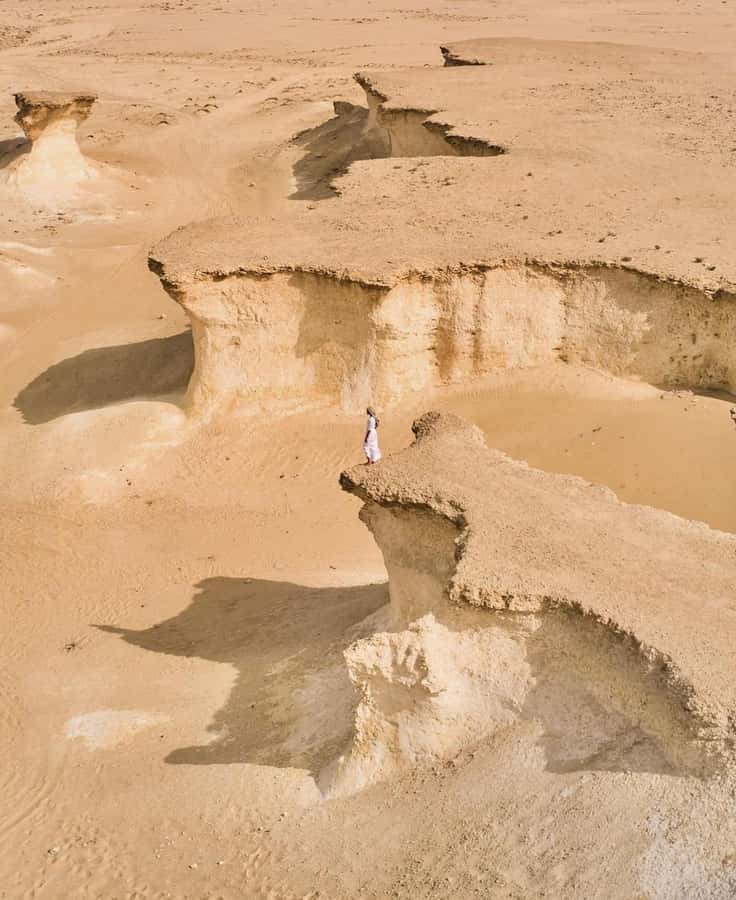 Doha: West Coast Qatar Tour, Sculptures, Camel Racing track - Is $35 a fair price?