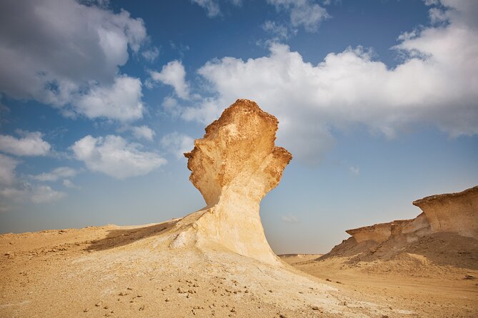 Doha : West Coast Tour on Zekreet Peninsula - Is $75 per person good value?